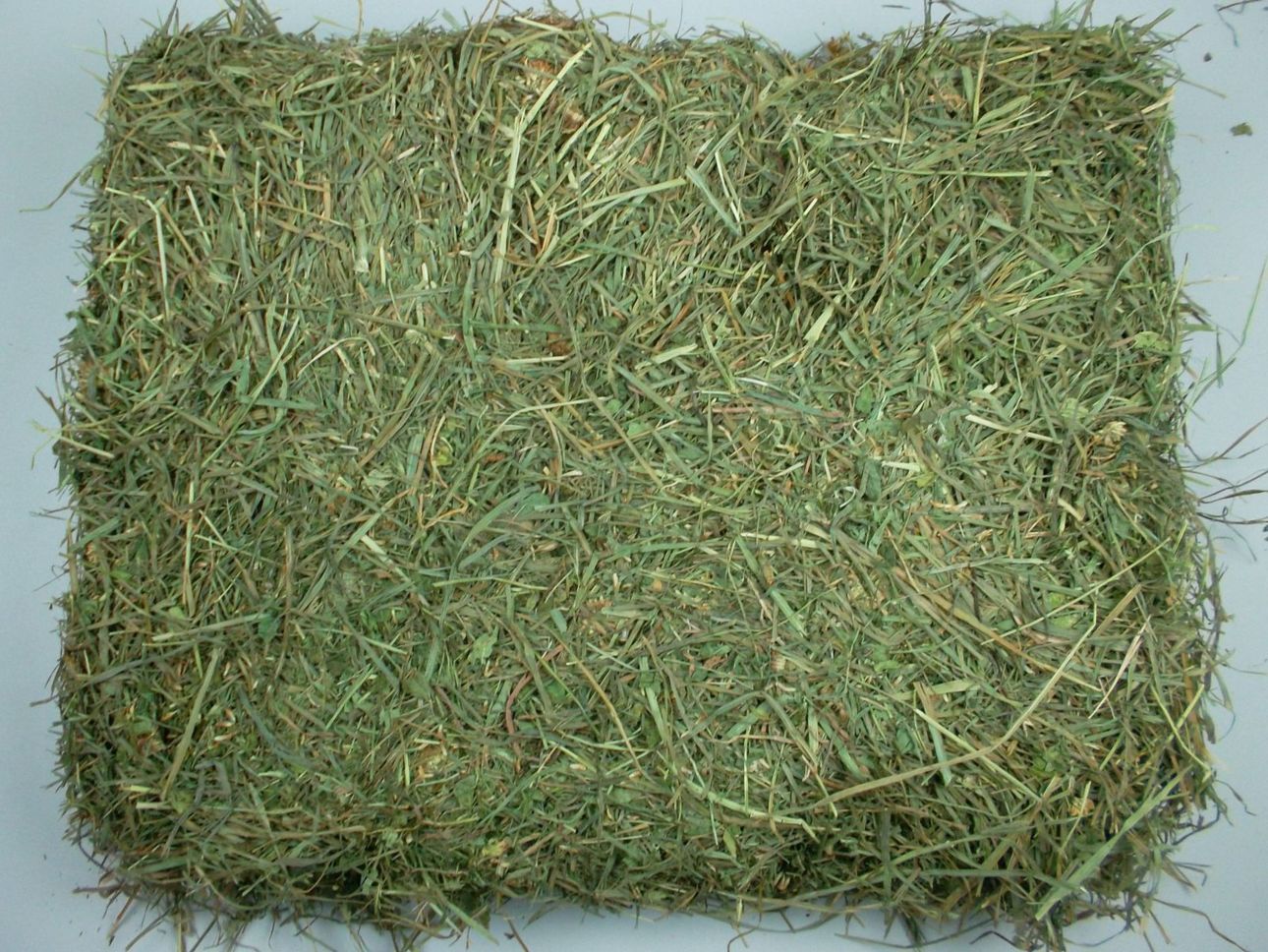 Heu kaufen Premium Heu & Stroh günstig Online vom Heuandi